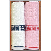 ѱۿ-2PƮ